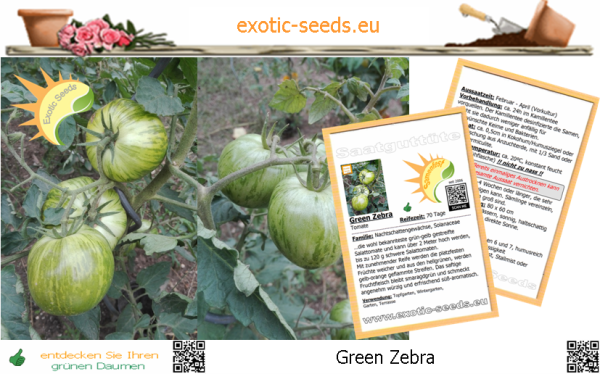 Tomate * Green Zebra * 25-250 Samen